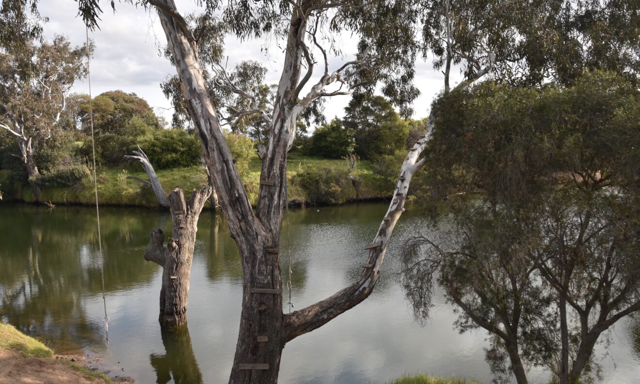 Lower Werribee Catchment Tour Werribee River Association